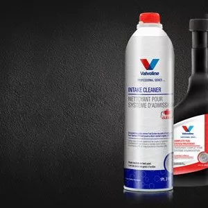 Fuel Rail & Throttle Body Cleaner - Valvoline™ Global